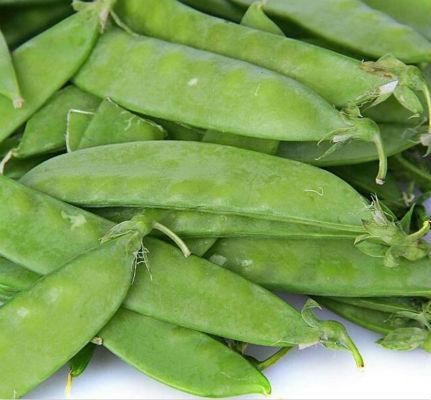 荷兰豆甜脆清香(甜豆豌豆荷兰豆傻傻的分不清楚)(3)