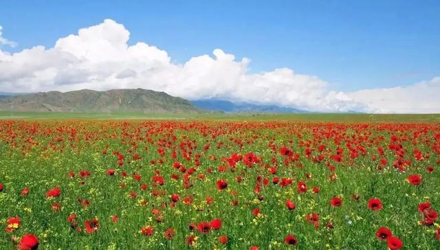 端午节最值得去的景点(端午旅行地推荐)(48)