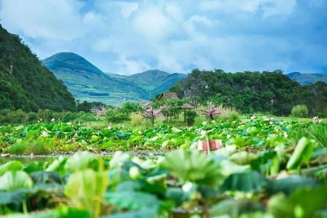 端午节最值得去的景点(端午旅行地推荐)(60)