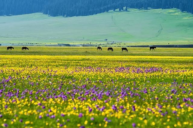 端午节最值得去的景点(端午旅行地推荐)(50)