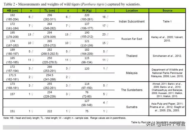 豹虎猫科动物图鉴(豹属五个物种全是大型猫科动物)(15)
