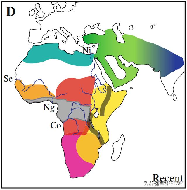 豹虎猫科动物图鉴(豹属五个物种全是大型猫科动物)(17)