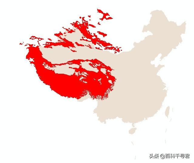 豹虎猫科动物图鉴(豹属五个物种全是大型猫科动物)(43)