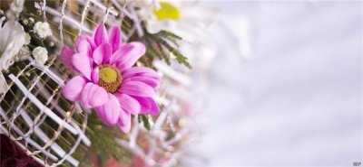 ​经典爱情文章的优美段落（早上好！唯美浪漫的爱情句子，经典走心，看懂你就赚