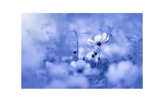 双子座男生什么性格(双子座的性格的10个特征、爱情运、工作运、男女分别解说) 双子座男生什么性格(双子座的性格的10个特征、爱情运、工作运、男女分别解说)