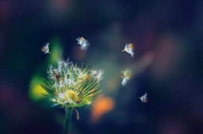 ​塑钢门窗颜色察颜观色如何辨别塑钢门窗的品质优劣