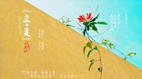 立夏的优美诗词,立夏的诗句图3