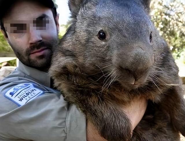 被核辐射变异的日本人（1986年的核辐射事件）(1)