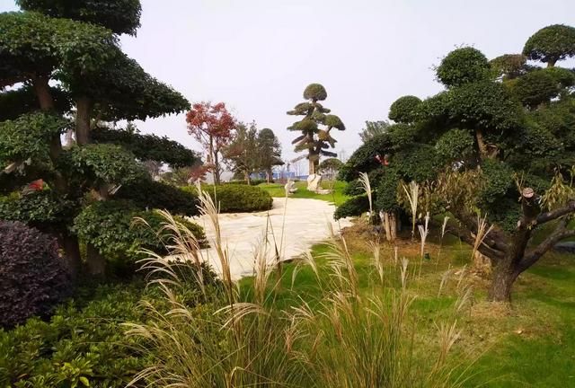 如何形容党员的形象图3