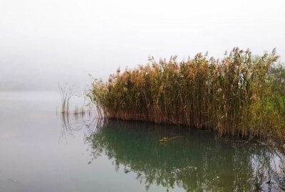 ​如何形容党员的形象