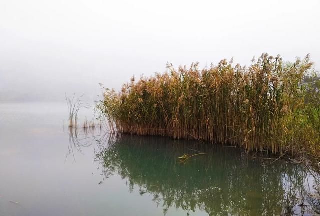 如何形容党员的形象图1