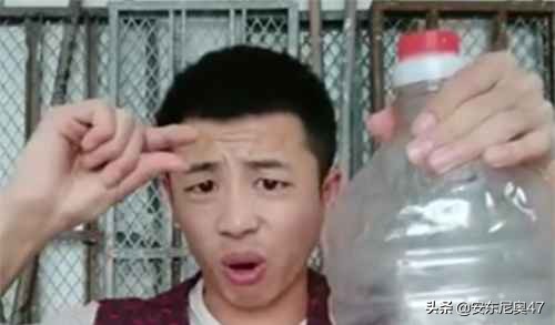 哈拉少是啥意思（一文了解网络流行语无情哈拉少的含义）