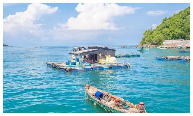 越南这个海岛，素有“珍珠岛”之称，国内游客相对较少，还免签