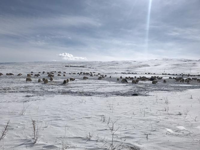 伐冰之户不畜牛羊(伐冰之家不畜牛羊)