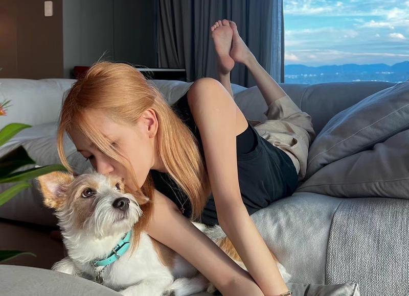 双子座优点与缺点详解:机警、优柔寡断 双子座优点与缺点详解:机警、优柔寡断