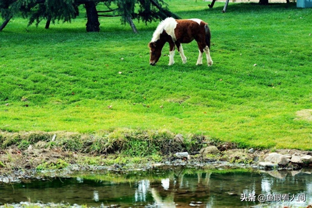 青岛藏马山，深藏一段灵药传说，冬游别有一番情趣