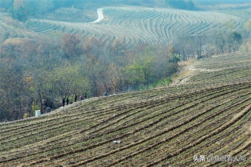 青岛藏马山，深藏一段灵药传说，冬游别有一番情趣