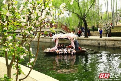 ​春光正好，来海棠花溪做一日画中人