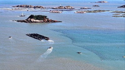 ​早安山东｜2025年研考国家线发布，调剂意向采集系统3月28日开通；“DEEPSEE