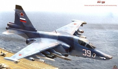 ​地面清洁工环境破坏者“苏-25”攻击机（图集）