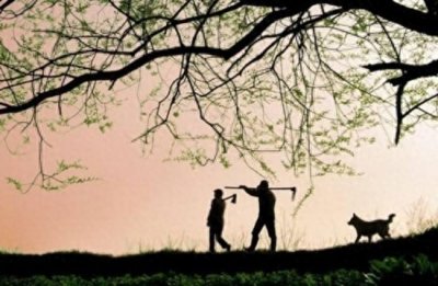 ​《乡土中国》无讼