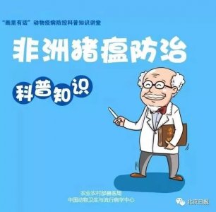 ​非洲猪瘟到底传不传人？快来看看这条科普！