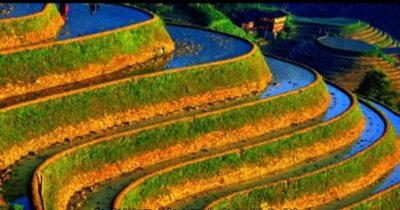 ​龙脊梯田