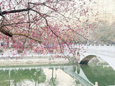 ​“梅”好时光已至，来天门踏春赏梅