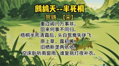 ​《鹧鸪天——半死桐》一首古诗词，一段不一样的人生