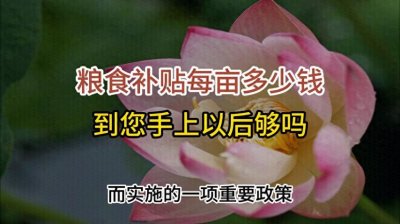 ​我国的粮食补贴每亩多少钱  到您手上以后够吗！