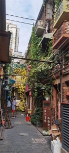 ​上海又一处网红拍照圣地田子坊