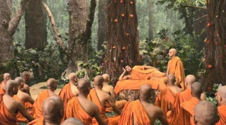 佛教觉悟的电影「修行就是明心见性印度电视剧佛陀观后感」