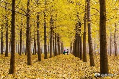 ​中国百强县（县级市）：江苏邳州