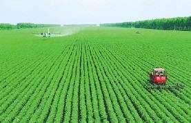 土地性质分类表,农村土地是怎么划分的图4