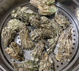 生蚝带壳蒸几分钟能熟会开口吗