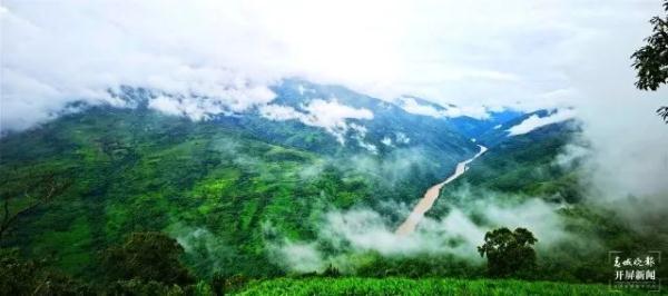 你知道斑鱼狗是什么物种吗 奇特又罕见它叫(4)