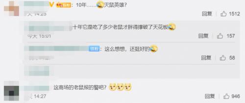 40斤巨蟒藏身天花板10年，网友调侃：商场里老鼠报的警吧？