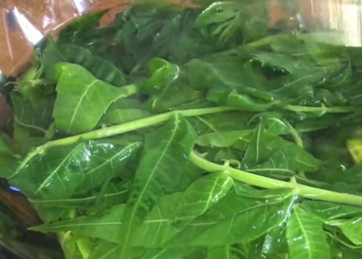 香椿芽最好吃的两种做法，鲜香可口又营养，抗菌消炎提高免疫力