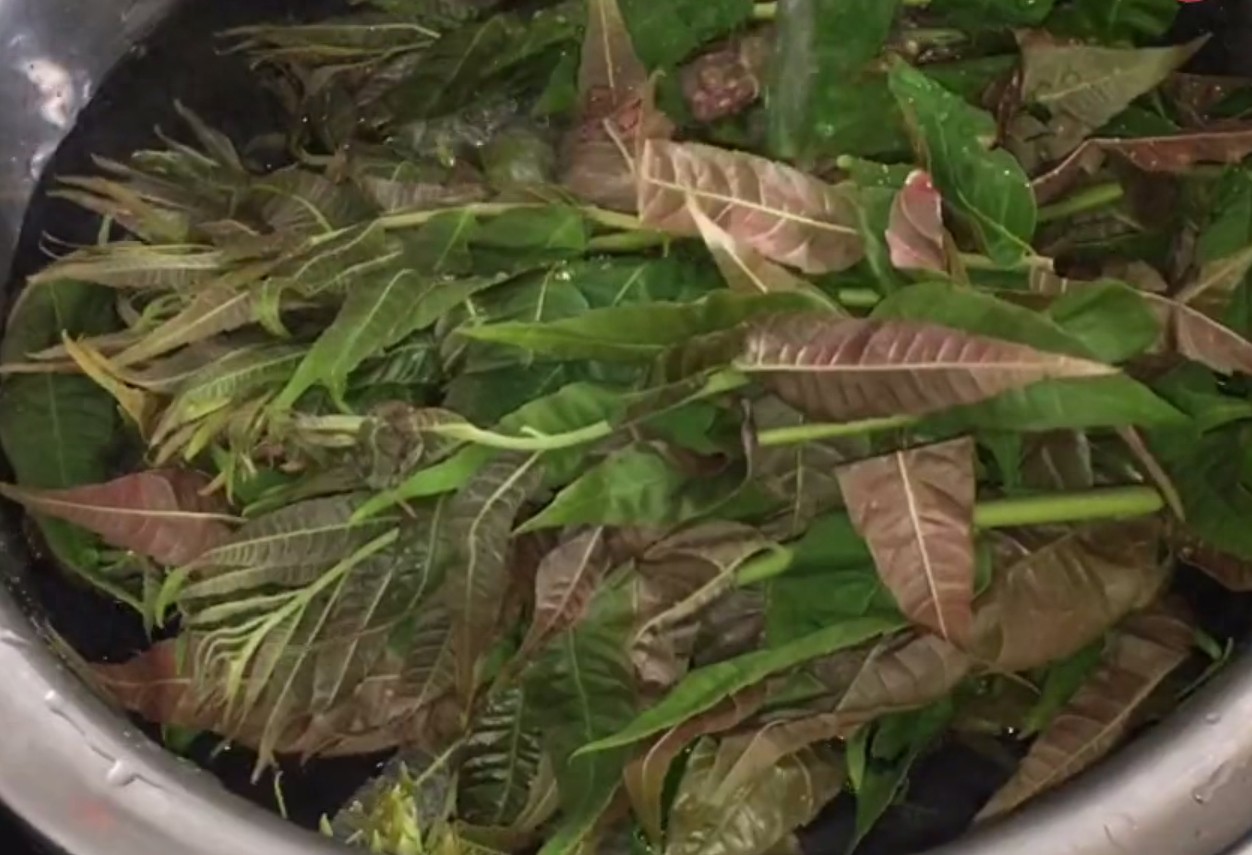 香椿芽最好吃的两种做法，鲜香可口又营养，抗菌消炎提高免疫力