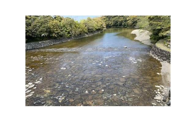 明星瘦脸针，明星最爱的玻尿酸、水光针、瘦脸针