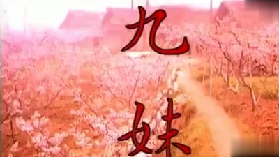 ​《九妹》一首从废纸篓里扒拉出来凑数的曲子，播放后却火爆全国