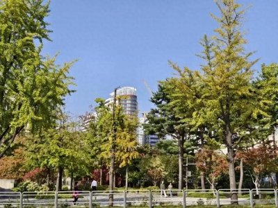 ​韩国青瓦台，现在随便参观！攻略来了，亲眼见证青瓦台魔咒