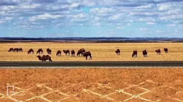 横扫四大沙漠,这条公路走起来就一个字:爽!|京新公路